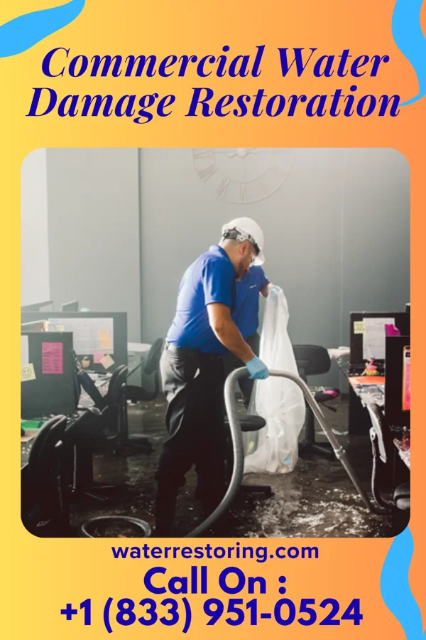 Commercial Water Damage Restoration in Elberon, IA
